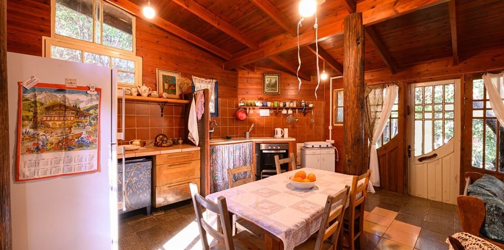 ארץ קסם ראש פינה הבית מסביב לעץ (9).jpg