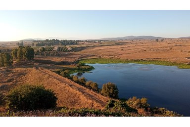 הבייתה של יהלי - בסביבה