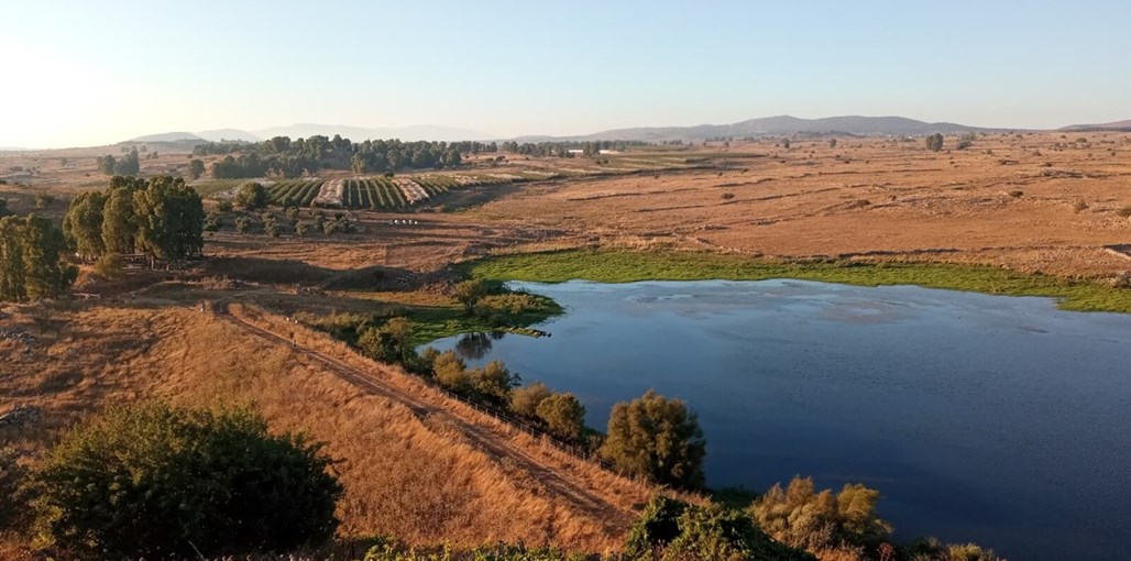 הבייתה של יהלי בסביבה (2).jpg