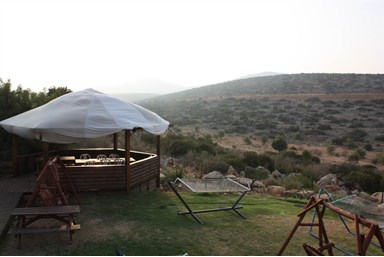 הילת האור בוטיק - הבריכה, הג'קוזי והחצר