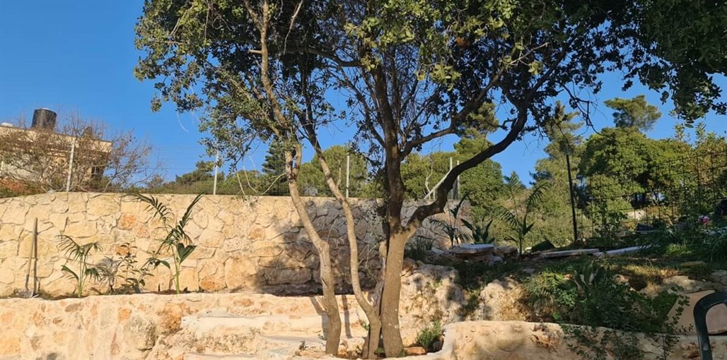 ארט סוויטות יוקרה ארט סוויטות יקורה - הנוף והסביבה (3).jpeg