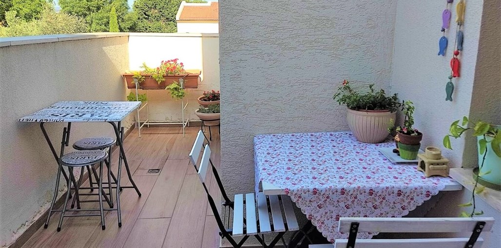 זיו הזריחה זיו הזריחה (24).jpg