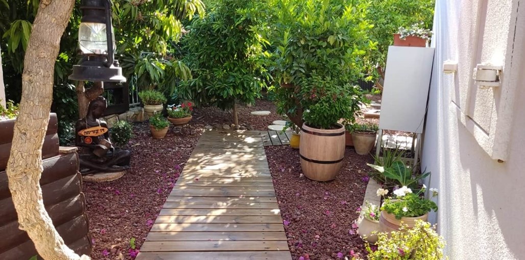 זיו הזריחה זיו הזריחה (19).jpg