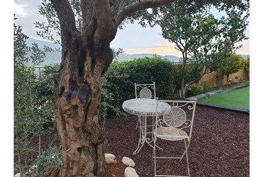 סוויטות ספא סטודיו - החצר, הבריכה הסאונה והנוף