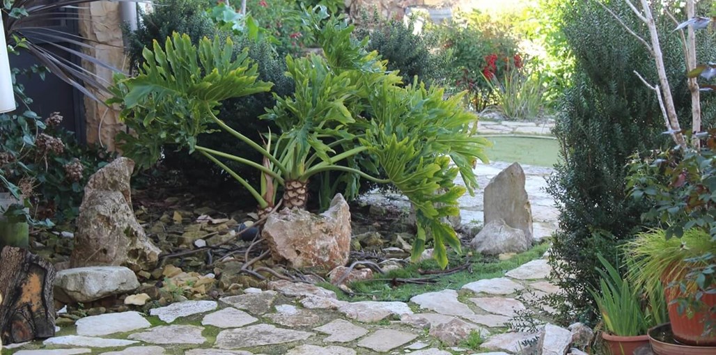 המערה במטולה המערה במטולה (8).jpg