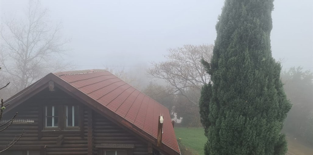 בוסתן לבל הבריכה החצר והג'קוזי (4).jpg