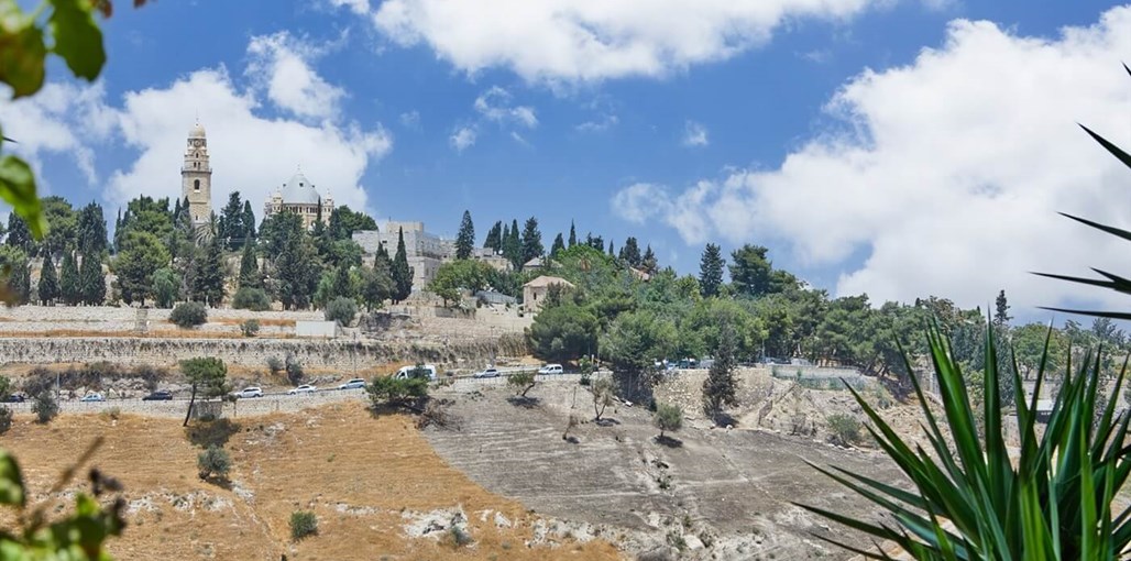 מול ציון החצר והסביבה (30).jpg