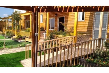 נוף הזיתים - החצר הבריכה והנוף 