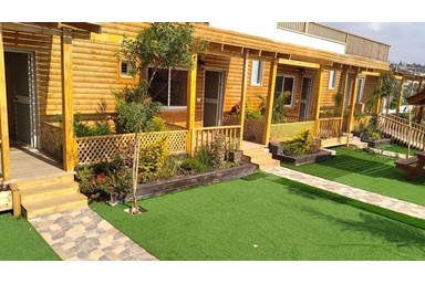 נוף הזיתים - החצר הבריכה והנוף 