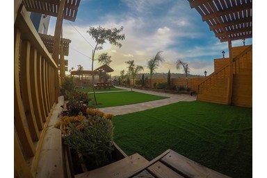 נוף הזיתים - החצר הבריכה והנוף 