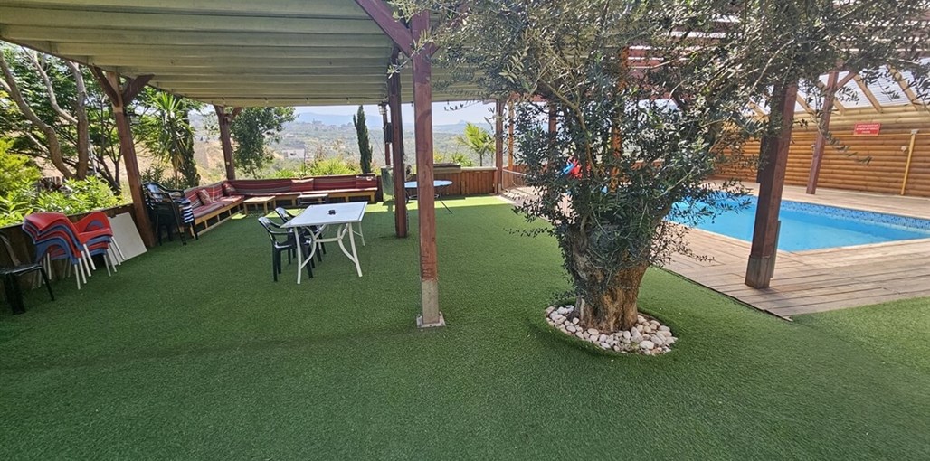 נוף הזיתים תמונות חדשות (10).jpg