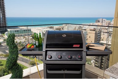 בת ים על הים - המרפסת והנוף