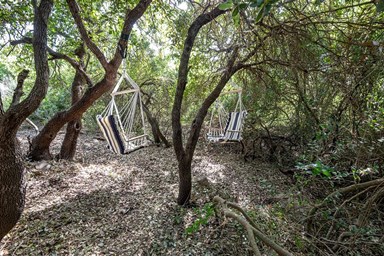 אורנופש בקצה החורש - החצר, הבריכה והנוף