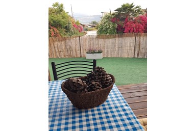 נוריתא - נוריתא בחצר