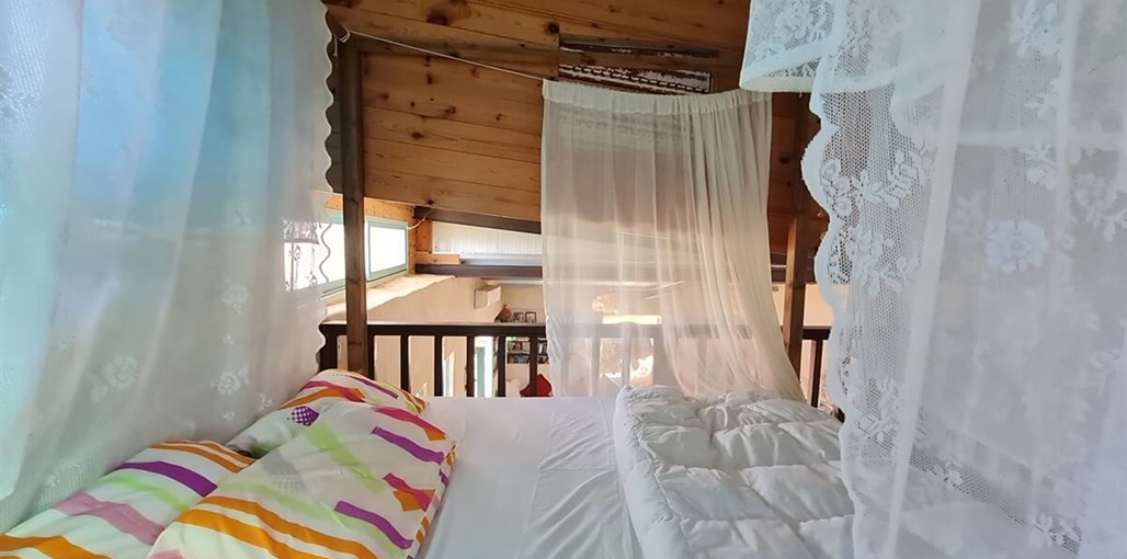 בית הסלע בית הסלע חדשות  (5).jpg