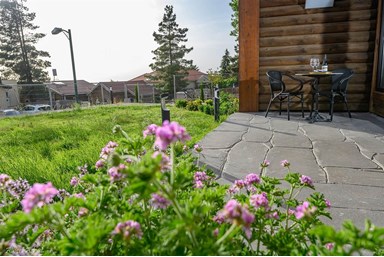 גן הדובדבנים - יחידות האירוח 