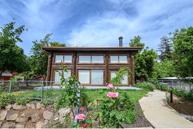 גן הדובדבנים - החצר