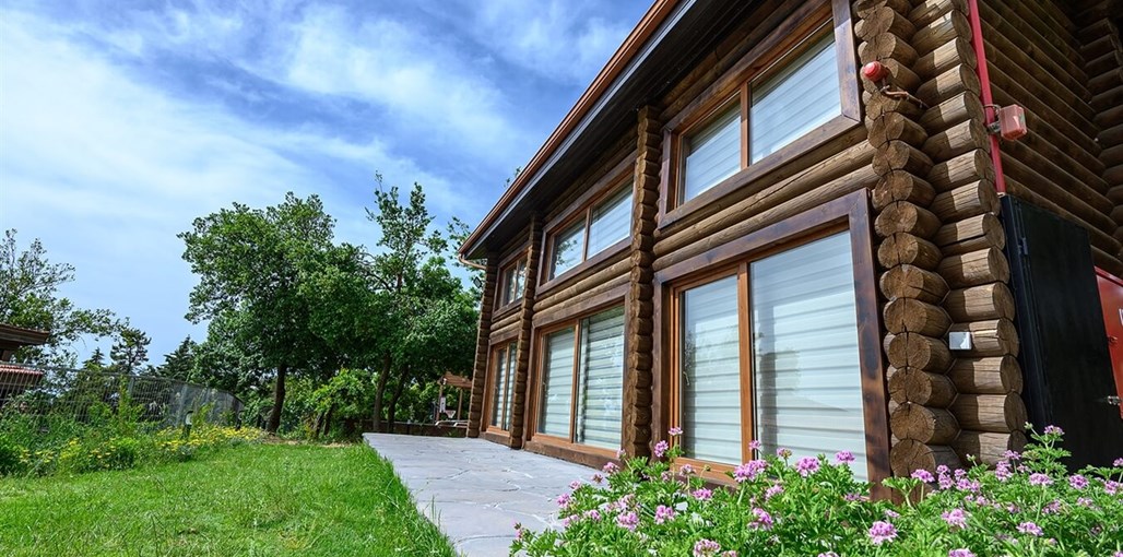 גן הדובדבנים הסוויטה (4).jpg