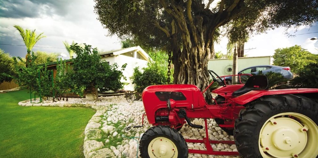 סוויטת מוריה תירוש סוויטת מוריה תירוש - החצר (1).jpeg