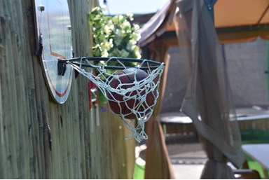 מפגש הדובדבן