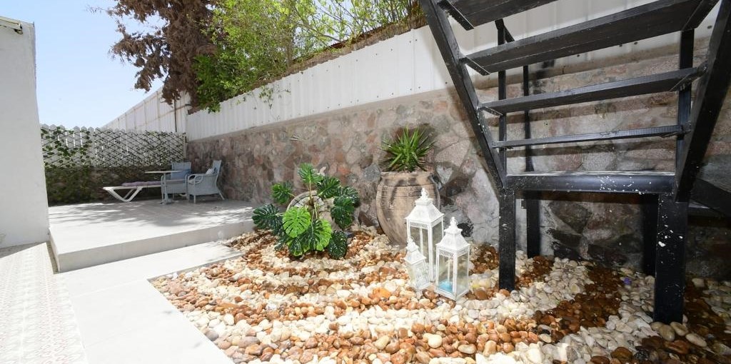 לינור סוויטס אמור סוויטס (40).jpeg