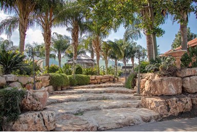 פנינת הדקל - בקתות העץ