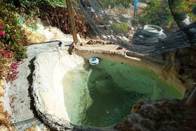 לינה בסלע - הבוסתן והסביבה