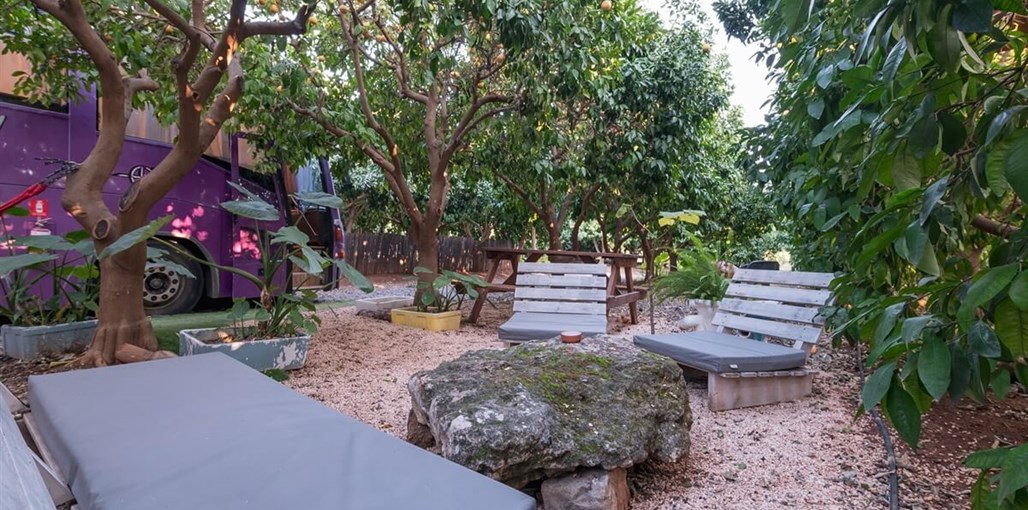 בס בוטיק בפרדס וואליבוס (21).jpg