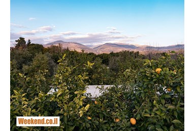 בס בוטיק בפרדס - valleybus