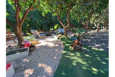 בס בוטיק בפרדס - מתחם החוץ והנוף