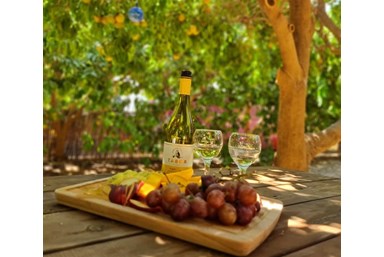 בס בוטיק בפרדס - מתחם החוץ והנוף