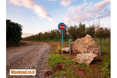 בס בוטיק בפרדס - מתחם החוץ והנוף