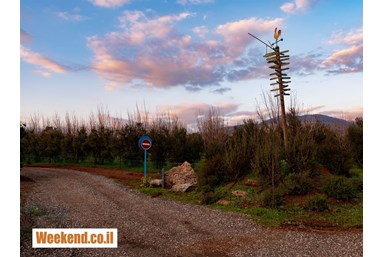 בס בוטיק בפרדס - מתחם החוץ והנוף