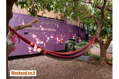 בס בוטיק בפרדס - valleybus