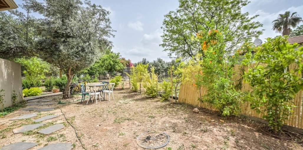 חלון לרקפות בטל שחר חצר (1).jpg