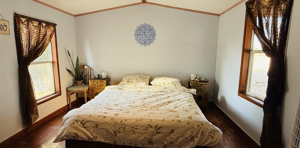 ירוק במדבר IMG_2101.JPG