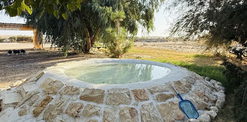 ירוק במדבר IMG_2165.JPG