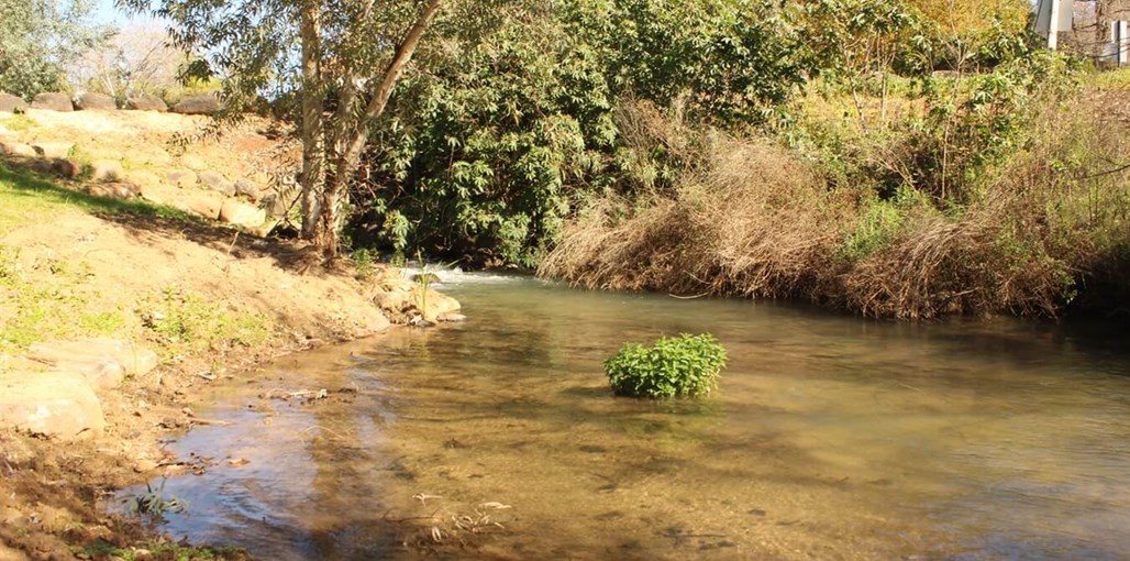 המקום בהגושרים הגושרים (9).jpg
