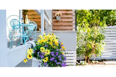 קיוט אנד קוזי – Cute & Cozy - קיוט סטודיו