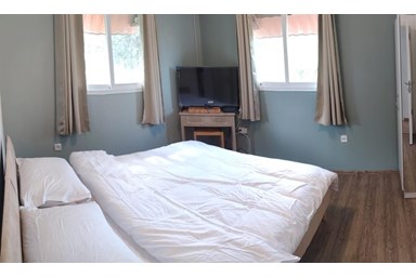 אוליבס ערד - Olives