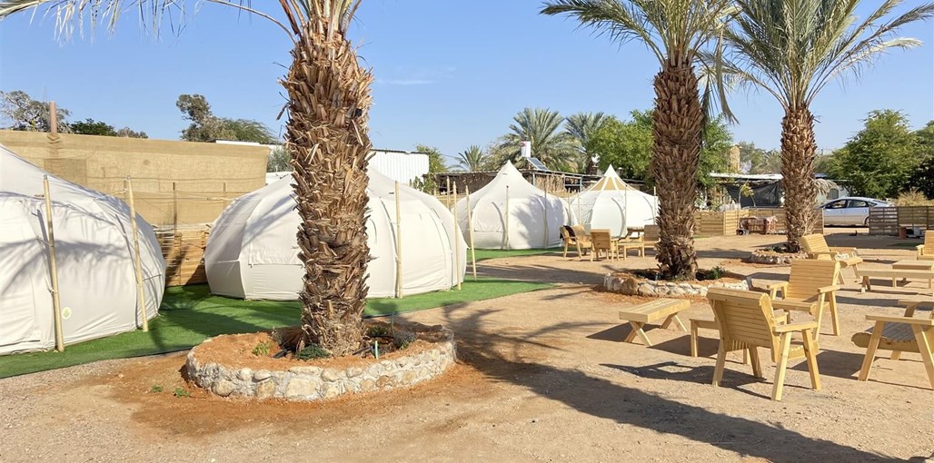 דארנא בערבה חצר (5).jpg