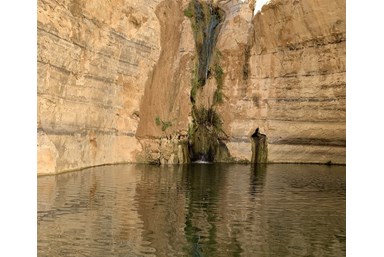 חאן אלסרה Alsira Khan - בסביבה