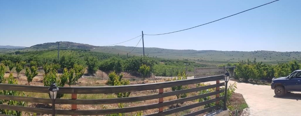 היורט בבוסתן יורט 18.5 (1).jpeg