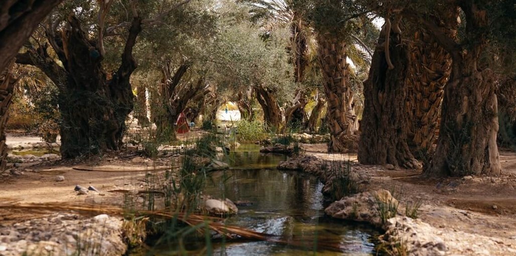 מואה נווה - מדבר DSC01383.jpg