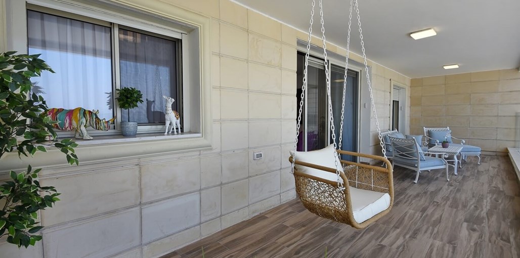 פרפר נוף כנרת תמונות צלם - פרפר (23).jpg