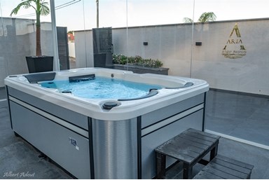 סוויטת אריה ARIA