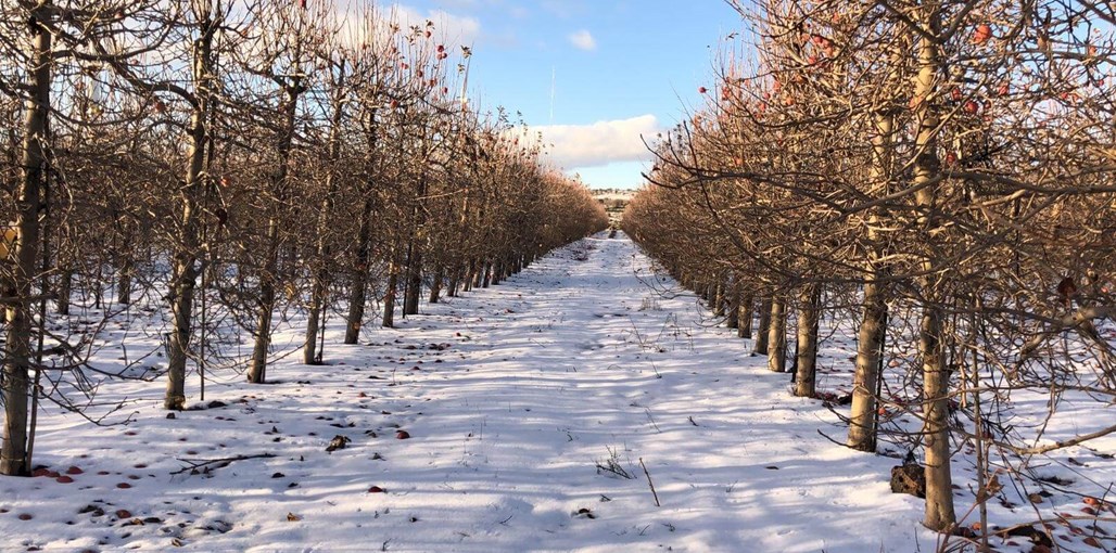 בסו האוס - Beso House WhatsApp Image 2022-01-20 at 21.42.06.jpeg