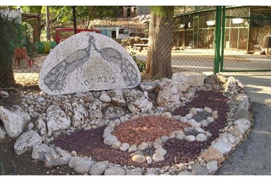 אירוח כפרי בגדות