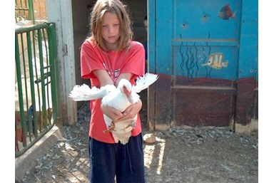 אירוח כפרי בגדות - הסוויטות