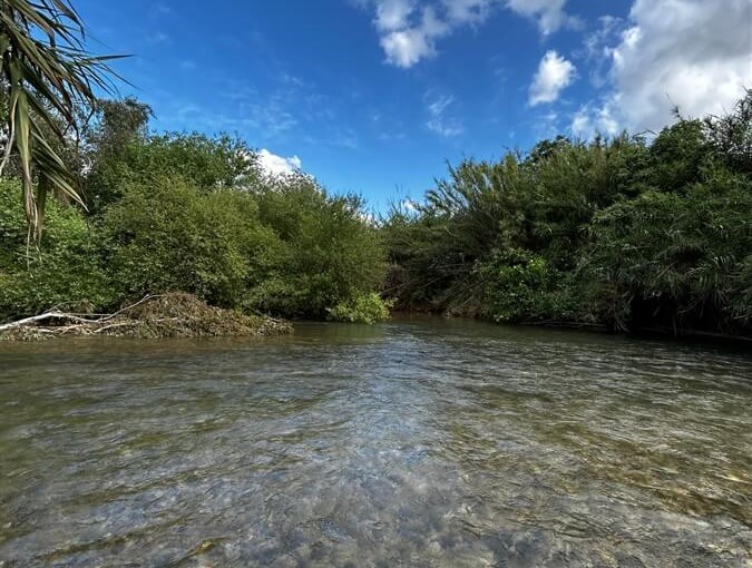 בין הפרדס לנחל סביבה (8).jpg